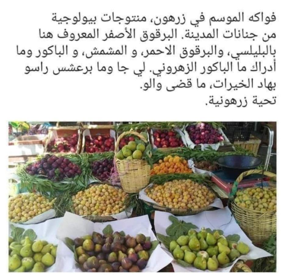 Riad Lala Zakia Moulay Idriss Extérieur photo